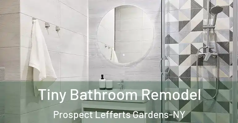 inner Bathroom imggen Tiny Bathroom Remodel Prospect Lefferts Gardens-NY