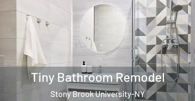 inner Bathroom imggen Tiny Bathroom Remodel Stony Brook University-NY