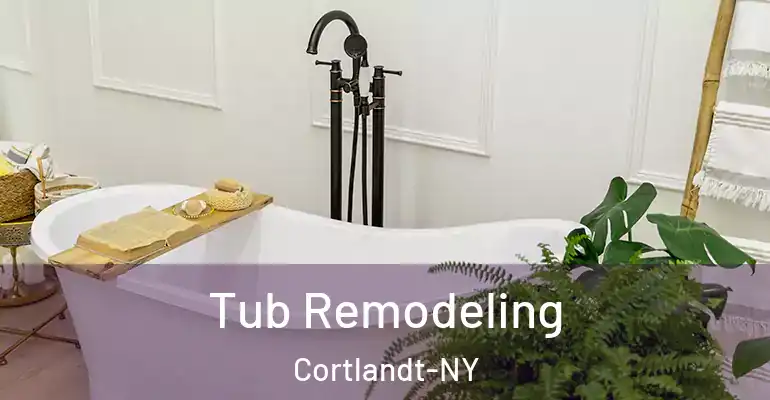 inner Bathroom imggen Tub Remodeling Cortlandt-NY