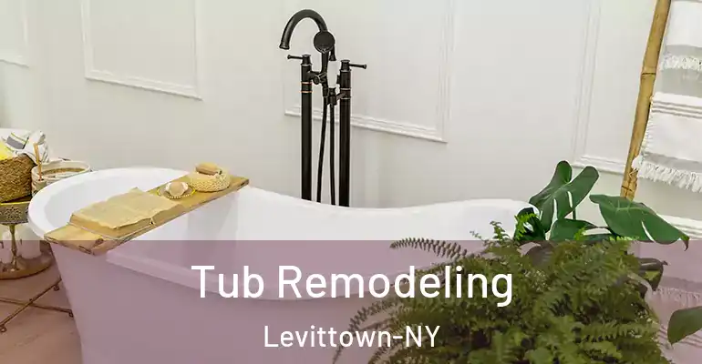 inner Bathroom imggen Tub Remodeling Levittown-NY