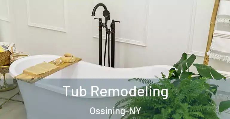 inner Bathroom imggen Tub Remodeling Ossining-NY