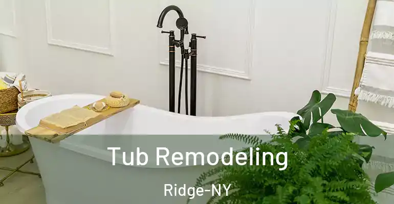 inner Bathroom imggen Tub Remodeling Ridge-NY