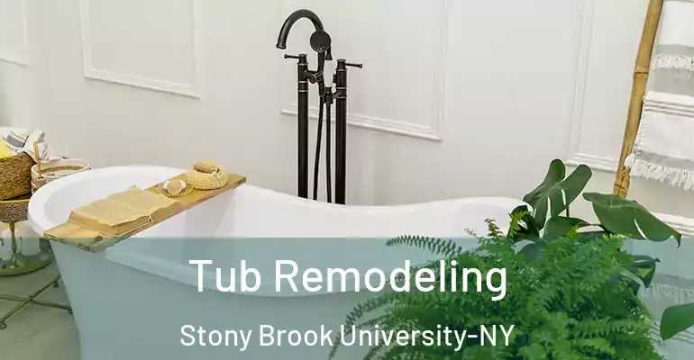 inner Bathroom imggen Tub Remodeling Stony Brook University-NY