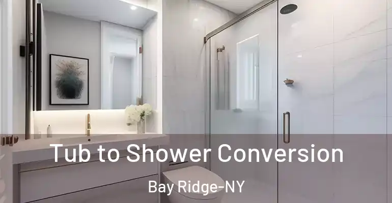 inner Bathroom imggen Tub to Shower Conversion Bay Ridge-NY