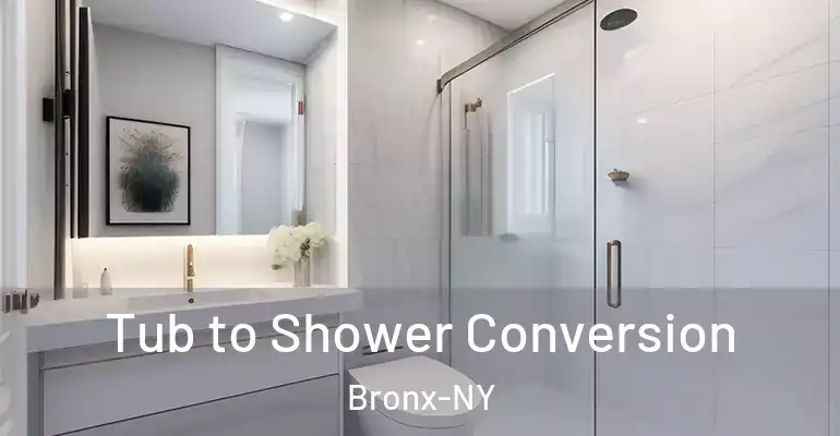 inner Bathroom imggen Tub to Shower Conversion Bronx-NY