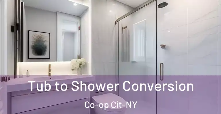 inner Bathroom imggen Tub to Shower Conversion Co-op Cit-NY