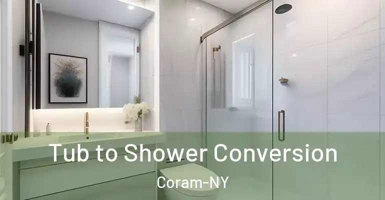 inner Bathroom imggen Tub to Shower Conversion Coram-NY
