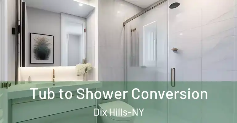 inner Bathroom imggen Tub to Shower Conversion Dix Hills-NY