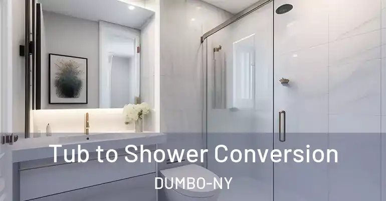 inner Bathroom imggen Tub to Shower Conversion DUMBO-NY