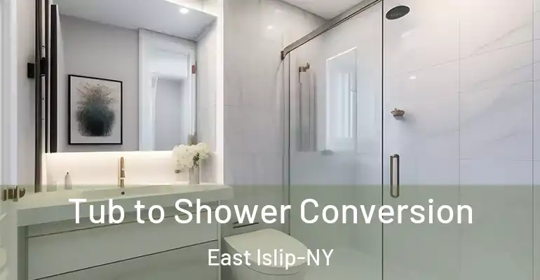 inner Bathroom imggen Tub to Shower Conversion East Islip-NY
