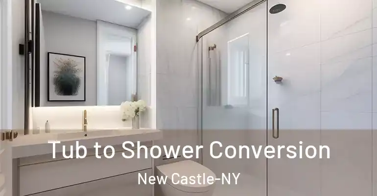 inner Bathroom imggen Tub to Shower Conversion New Castle-NY