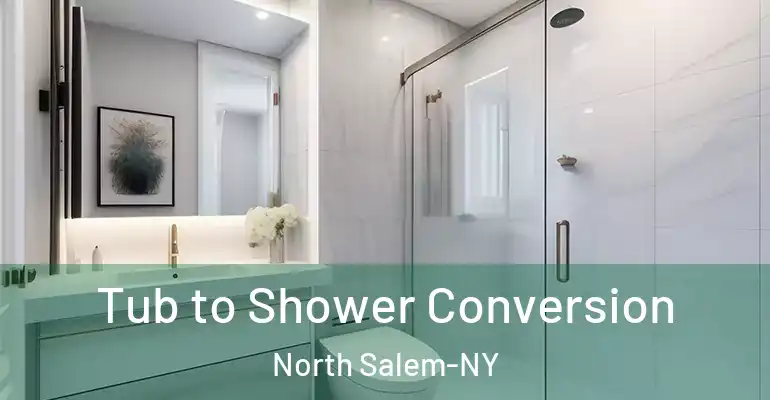 inner Bathroom imggen Tub to Shower Conversion North Salem-NY