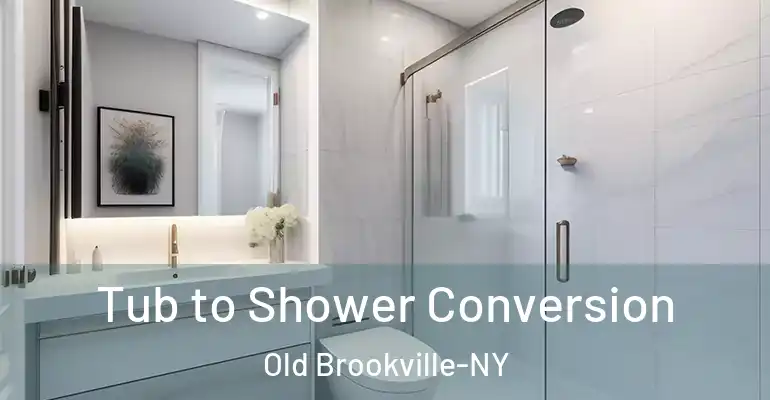 inner Bathroom imggen Tub to Shower Conversion Old Brookville-NY