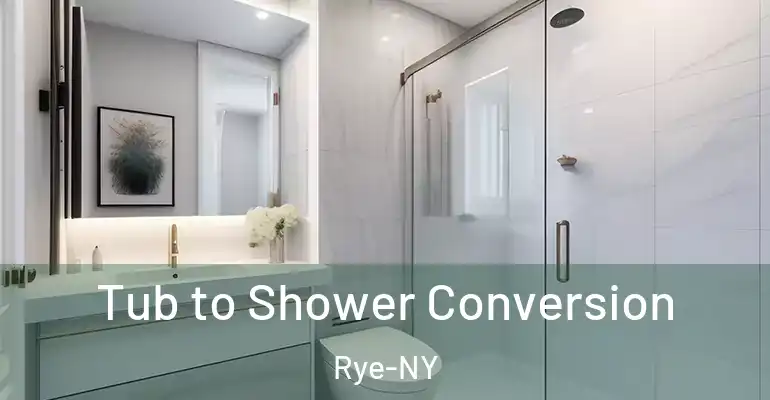 inner Bathroom imggen Tub to Shower Conversion Rye-NY