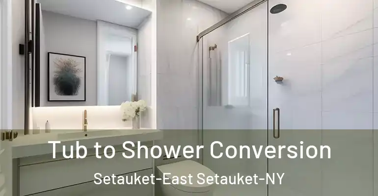 inner Bathroom imggen Tub to Shower Conversion Setauket-East Setauket-NY