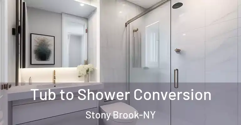 inner Bathroom imggen Tub to Shower Conversion Stony Brook-NY