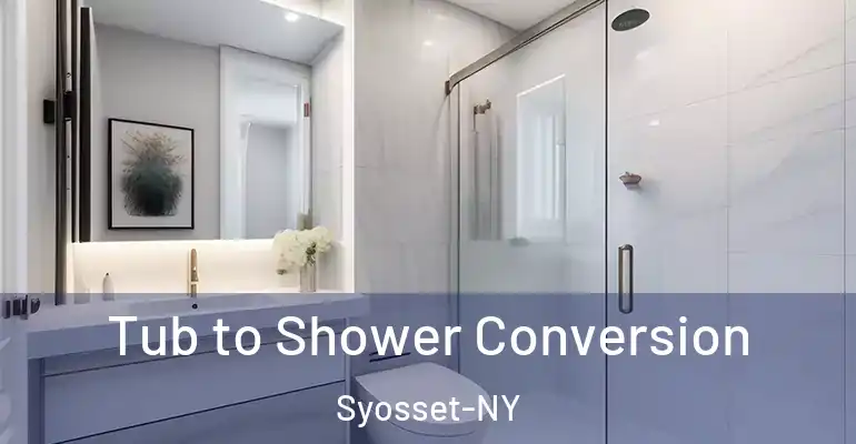 inner Bathroom imggen Tub to Shower Conversion Syosset-NY