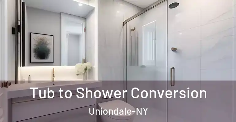 inner Bathroom imggen Tub to Shower Conversion Uniondale-NY