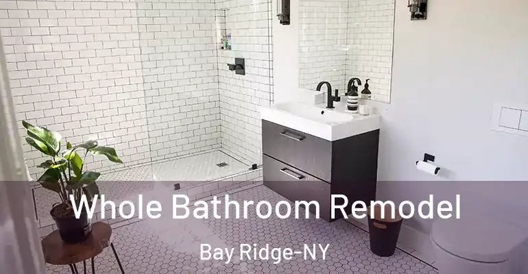 inner Bathroom imggen Whole Bathroom Remodel Bay Ridge-NY