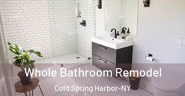 inner Bathroom imggen Whole Bathroom Remodel Cold Spring Harbor-NY