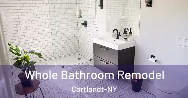 inner Bathroom imggen Whole Bathroom Remodel Cortlandt-NY