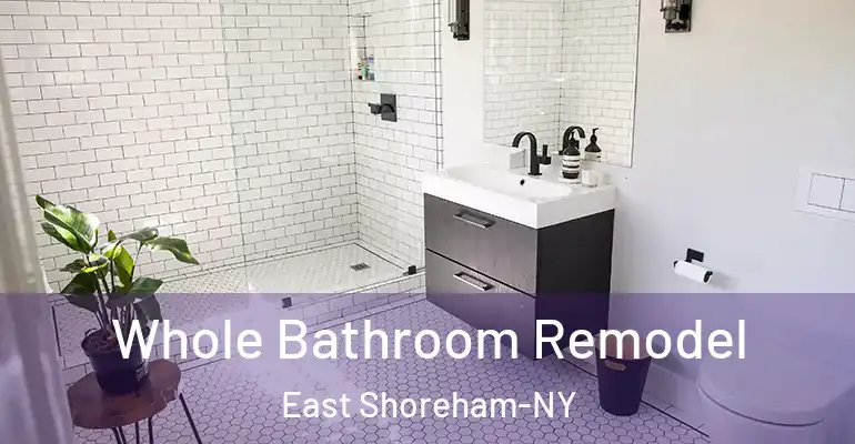 inner Bathroom imggen Whole Bathroom Remodel East Shoreham-NY