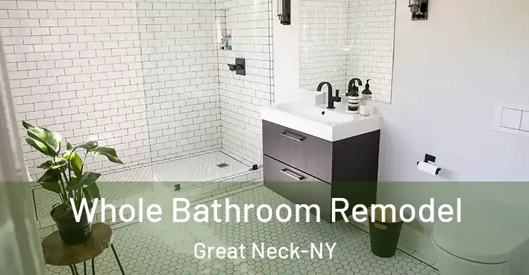 inner Bathroom imggen Whole Bathroom Remodel Great Neck-NY