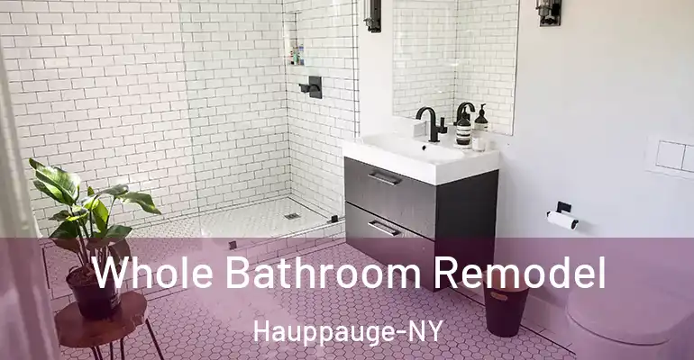 inner Bathroom imggen Whole Bathroom Remodel Hauppauge-NY