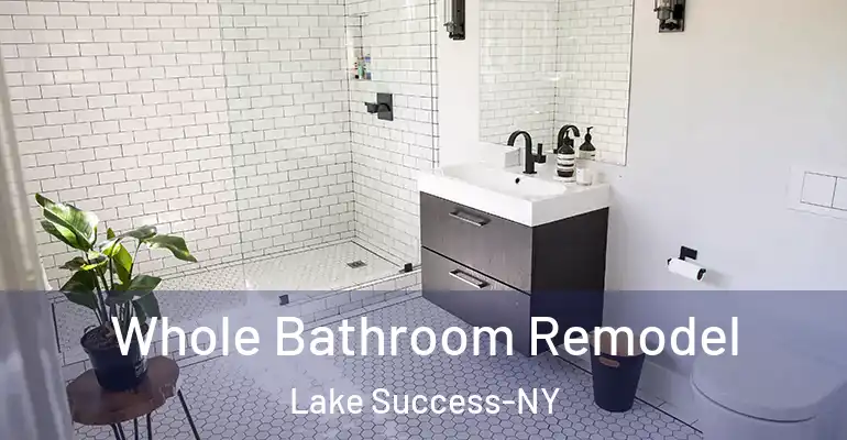 inner Bathroom imggen Whole Bathroom Remodel Lake Success-NY