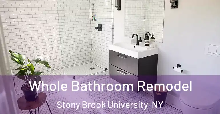 inner Bathroom imggen Whole Bathroom Remodel Stony Brook University-NY